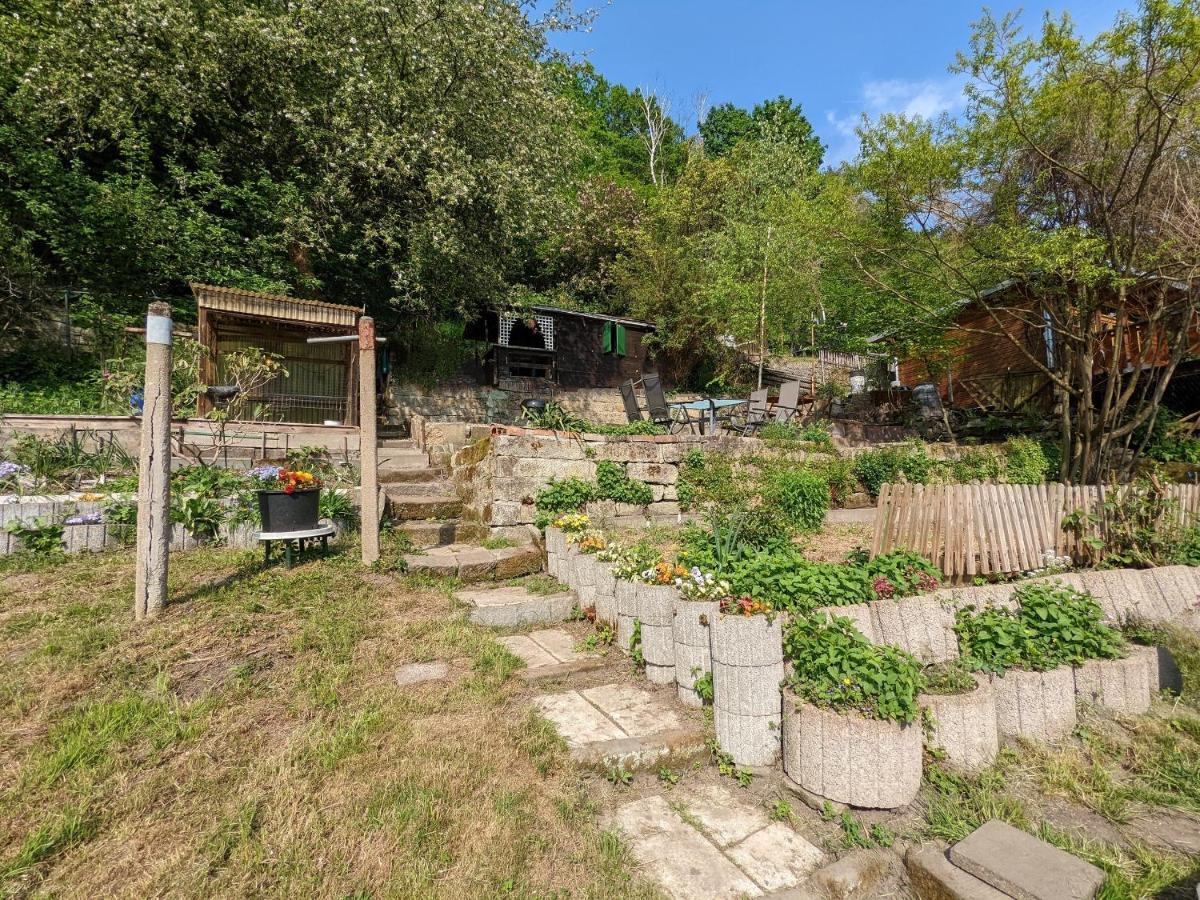 Rathmannsdorf Urlaubsmagie - 5 Fussminuten Zur Elbe, Garten, Pool - R2 מראה חיצוני תמונה